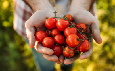 Tips to store fruits and vegetables for best freshness, flavor & safety