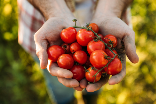 Tips to store fruits and vegetables for best freshness, flavor & safety