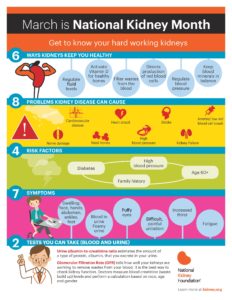 infographic including facts about kidneys and kidney health