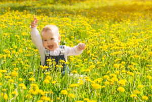 Happy little toddler in a field of yellow spring flowers