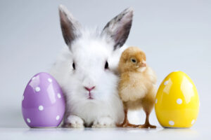 a baby rabbit and a baby chicken between two painted Easter eggs to illustrate "key march dates for employee communications" blog