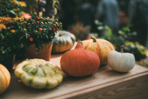 pumpkins and gourds to illustrate October key dates and events blog post