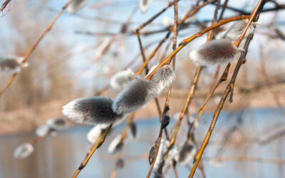 March 2026 Dates for Employee Communications