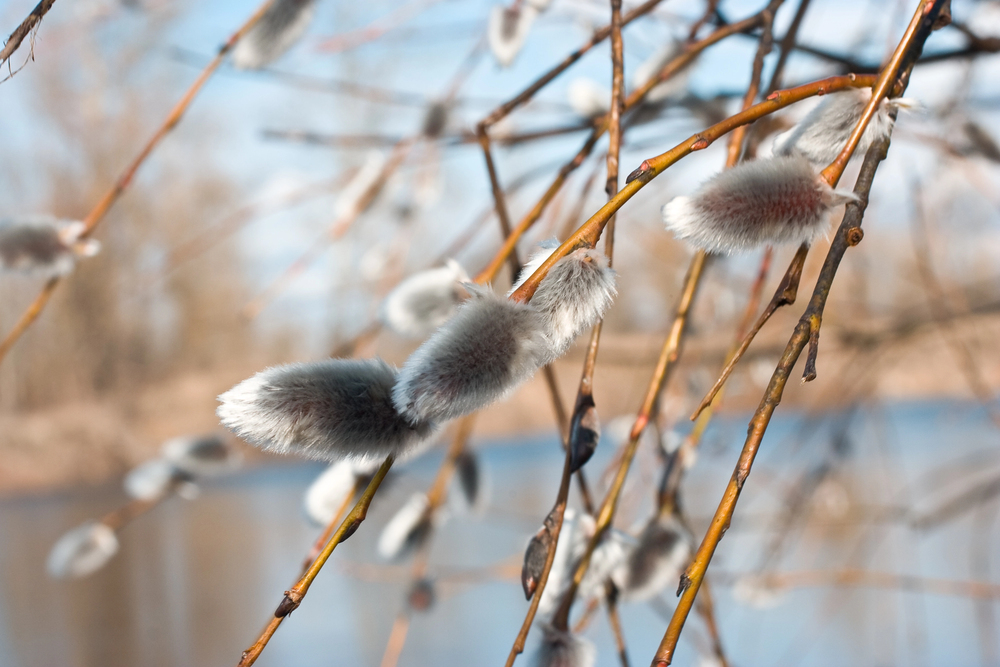 March 2026 Dates for Employee Communications