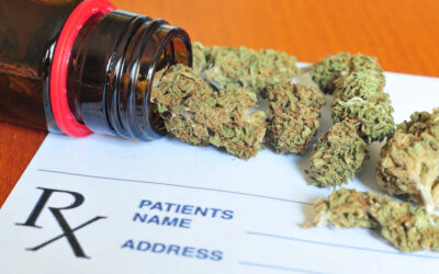 What Cannabis Reclassification Means for Employers