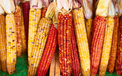 October 2026 Dates for Employee Communications