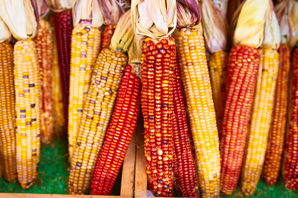 October 2026 Dates for Employee Communications